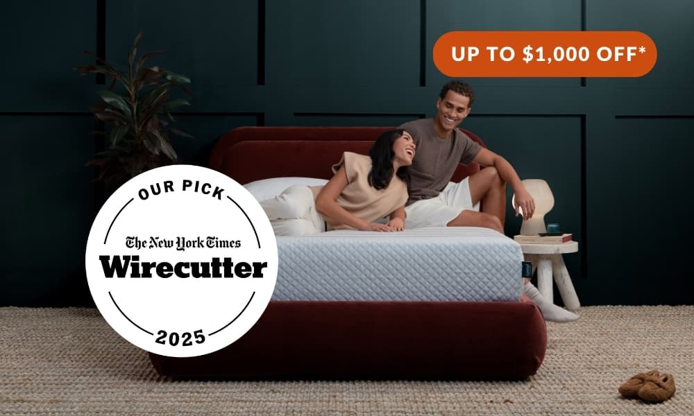 MAIN COURSE COMFORT: Sapira Hybrid