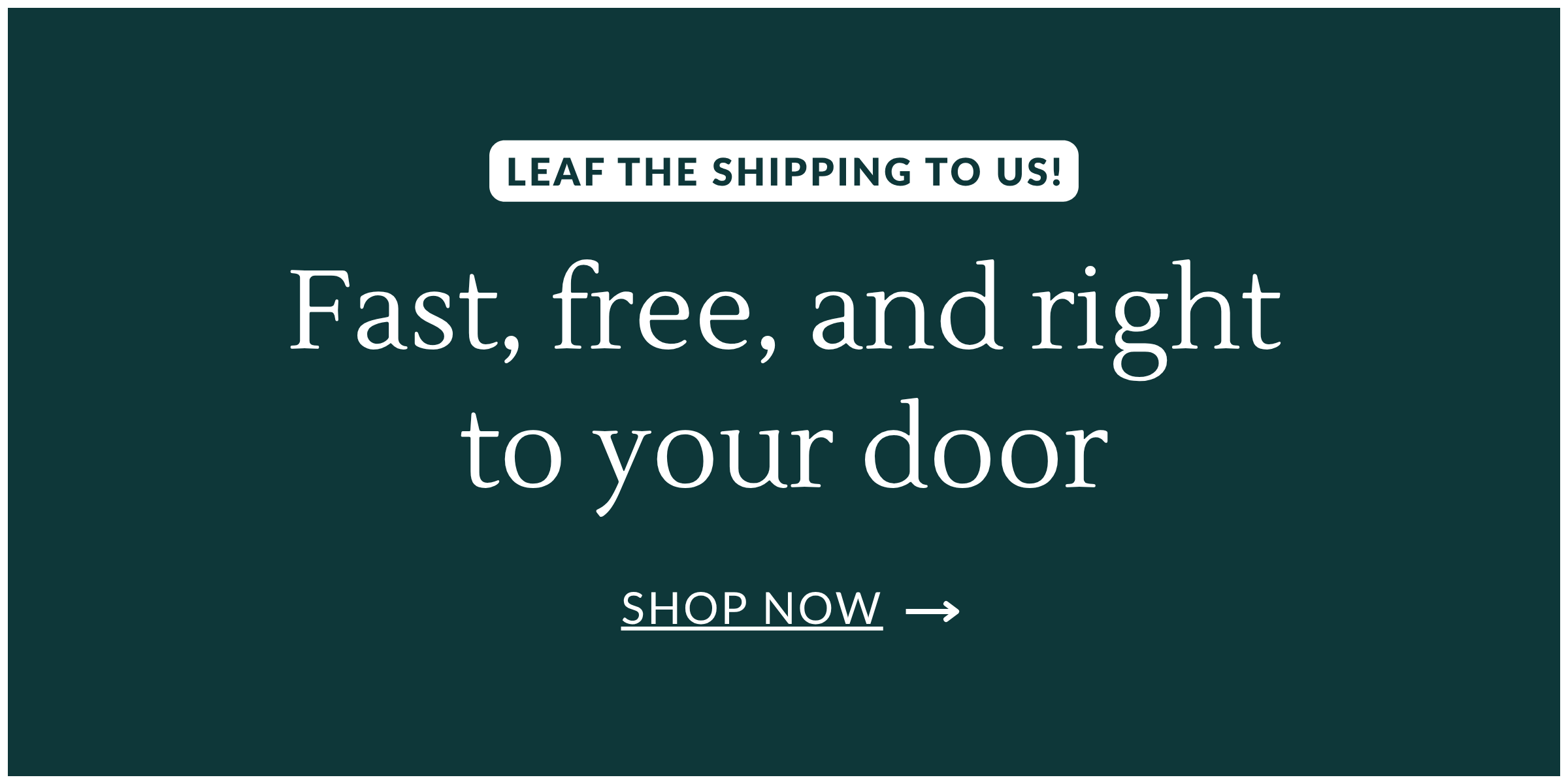 Leaf the shipping to us! Fast, free and right to your door