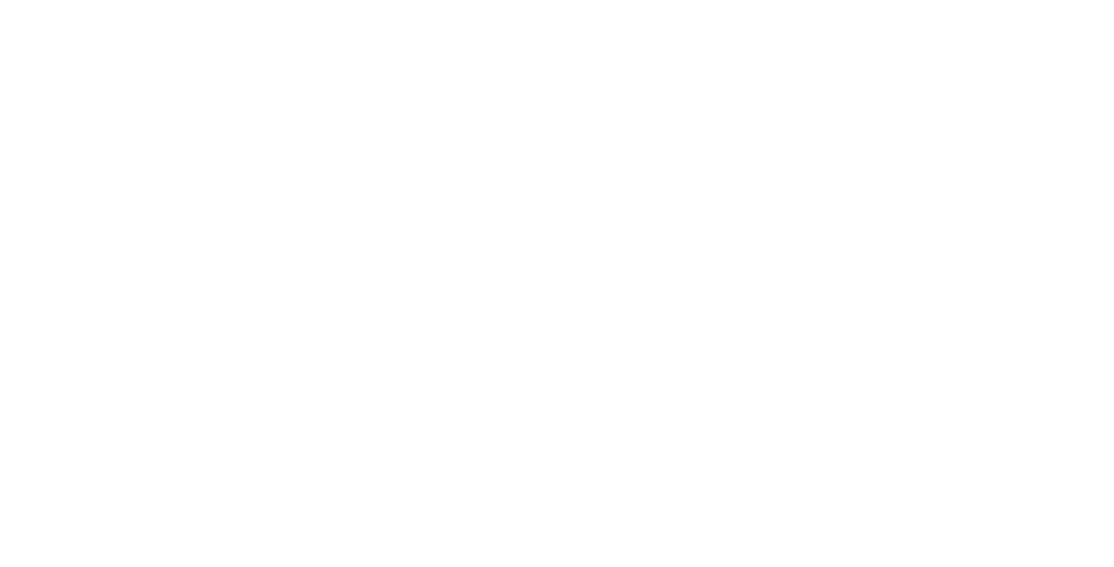 The Love Your Leesa Promise
