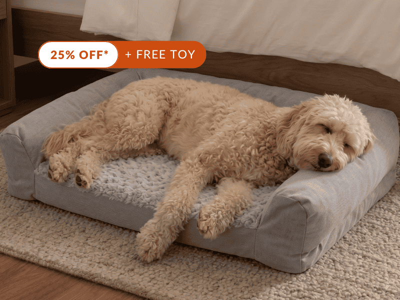 Plush Bolster Pet Bed
