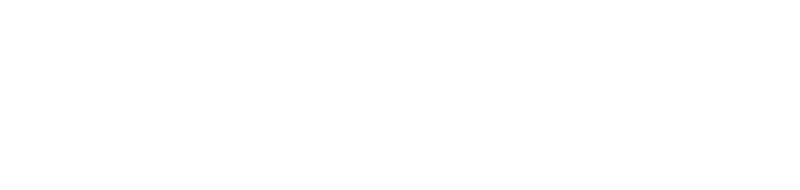 Shop Pay Logo