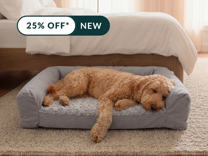 Tail-wagging comfort