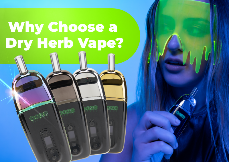 Our most affordable dry herb vape EVER! Ooze Life