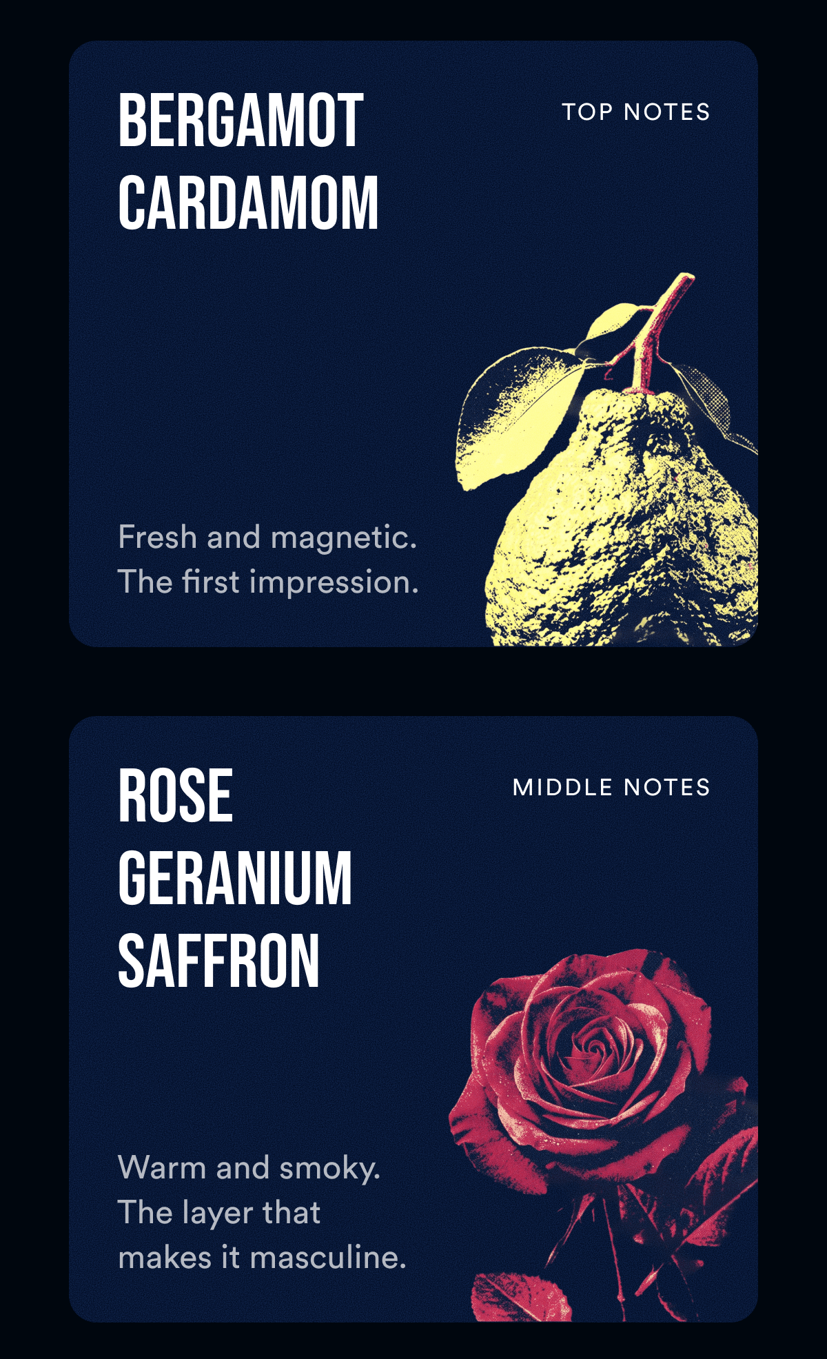 Top Notes. Bergamot Cardamom. Fresh and magnetic. The first impression. Middle Notes. Rose Geranium Saffron. Warm and smoky. The layer that makes it masculine.