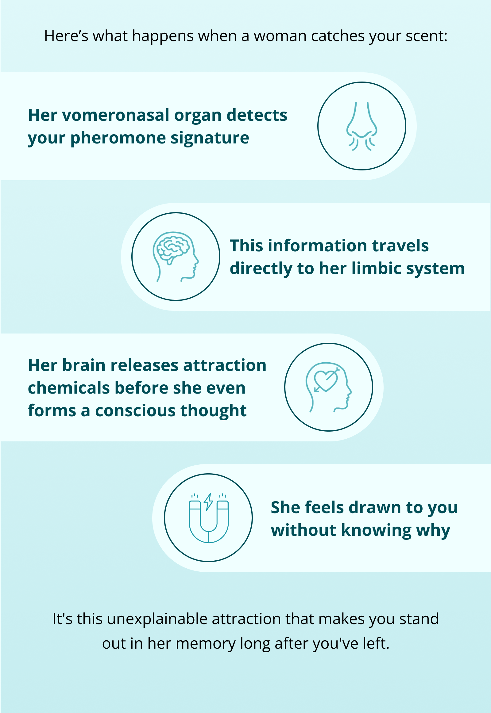 Here's what happens when a woman catches your scent: Her vomeronasal organ detects your pheromone signature This information travels directly to her limbic system Her brain releases attraction chemicals before she even forms a conscious thought She feels drawn to you without knowing why It's this unexplainable attraction that makes you stand out in her memory long after you've left.