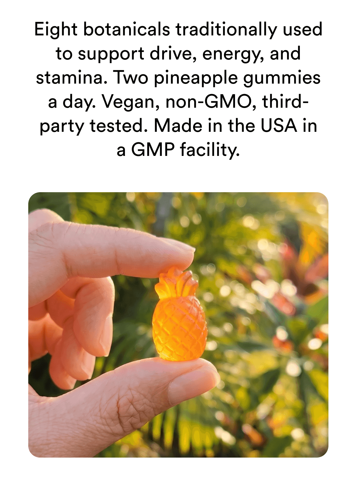Eight botanicals traditionally used to support drive, energy, and stamina. Two pineapple gummies a day. Vegan, non-GMO, third-party tested. Made in the USA in a GMP facility.