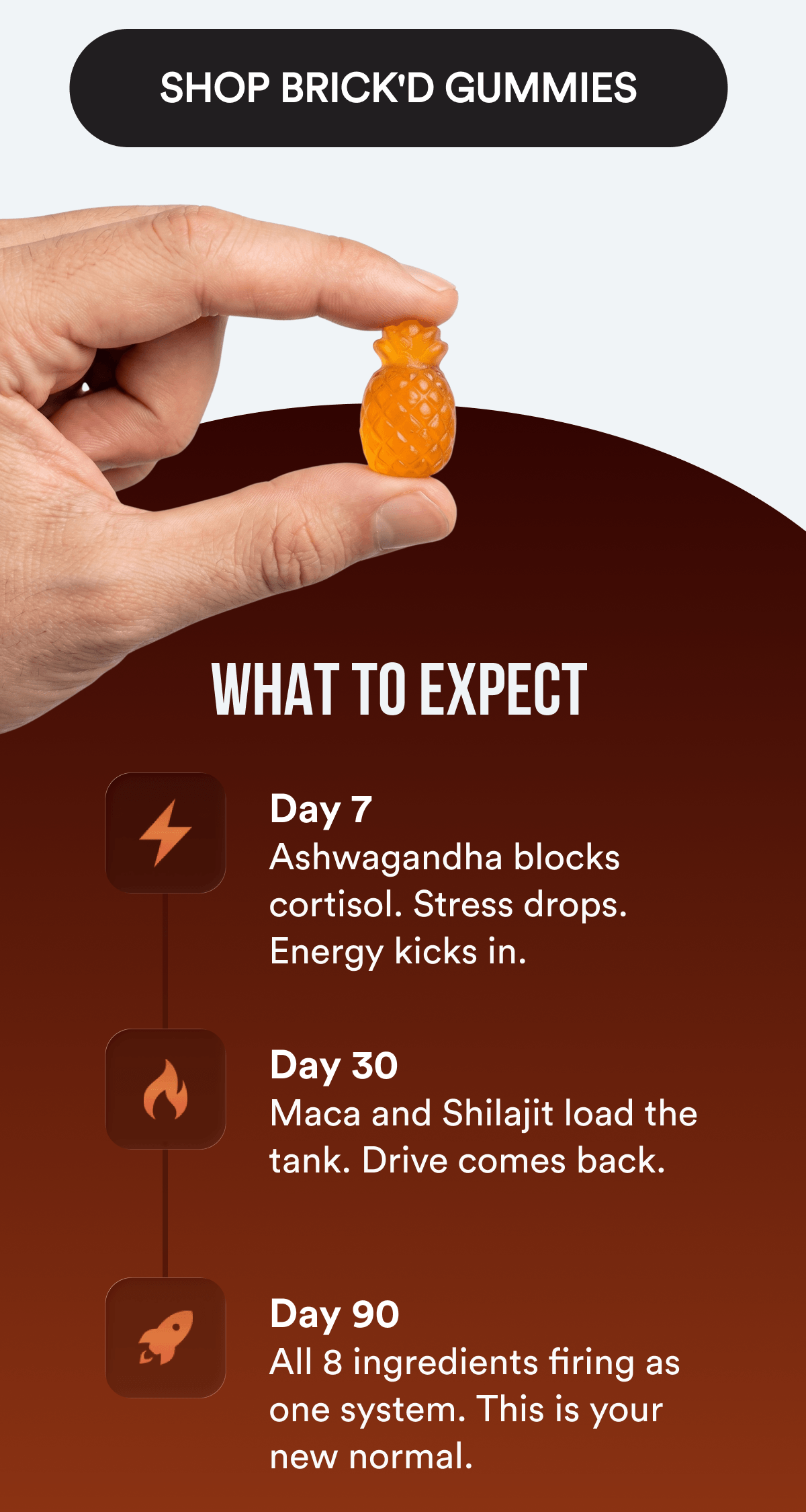 SHOP BRICK'D GUMMIES  — WHAT TO EXPECT 🔥 Day 7 — Ashwagandha blocks cortisol. Stress drops. Energy kicks in. ⚡ Day 30 — Maca and Shilajit load the tank. Drive comes back. 💪 Day 90 — All 8 ingredients firing as one system. This is your new normal.
