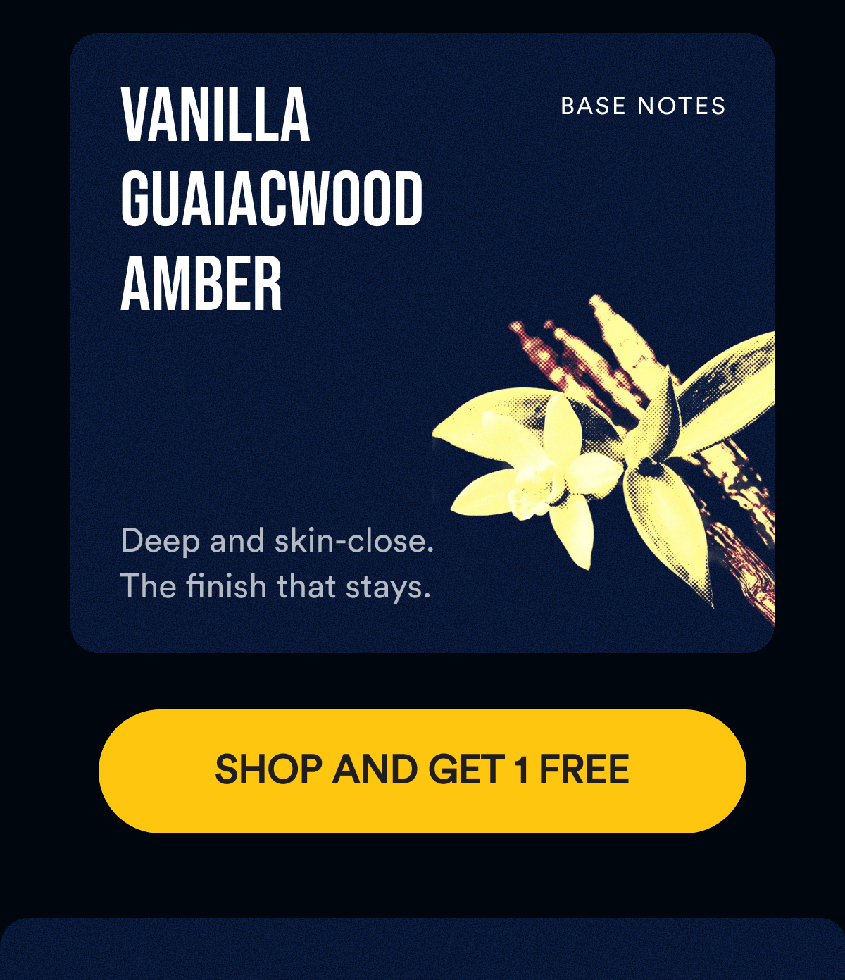 Base Notes. Vanilla Guaiacwood Amber. Deep and skin-close. The finish that stays. SHOP AND GET 1 FREE.