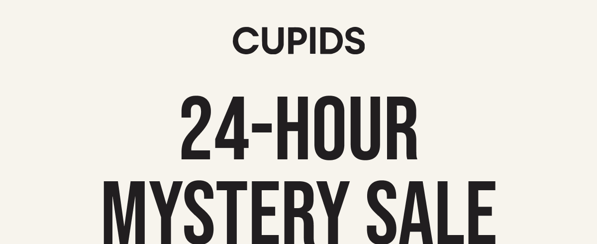24-Hour Mystery Sale