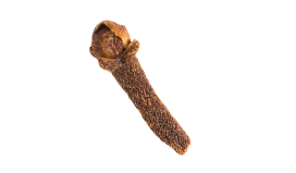 Image of a clove