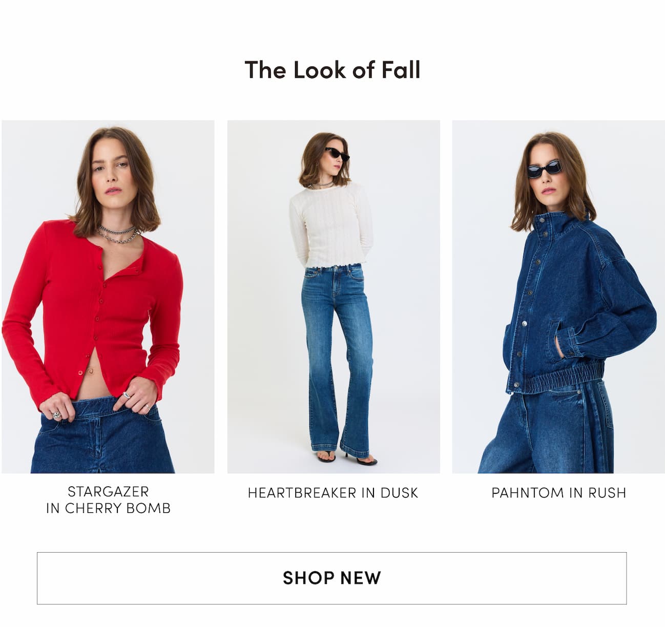 SHOP FALL