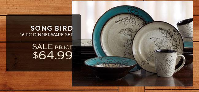 Song Bird 16 pc Dinnerware Set • Sale Price $64.99
