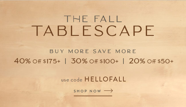 The Fall Tablescape | Save up to 40% Off with code HELLOFALL