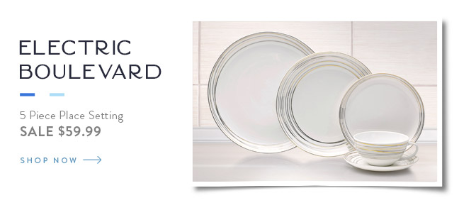 Electric Boulevard 5 Piece Place Setting: SALE $59.99