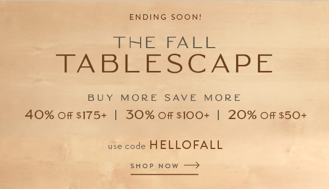 The Fall Tablescape | Save up to 40% Off with code HELLOFALL