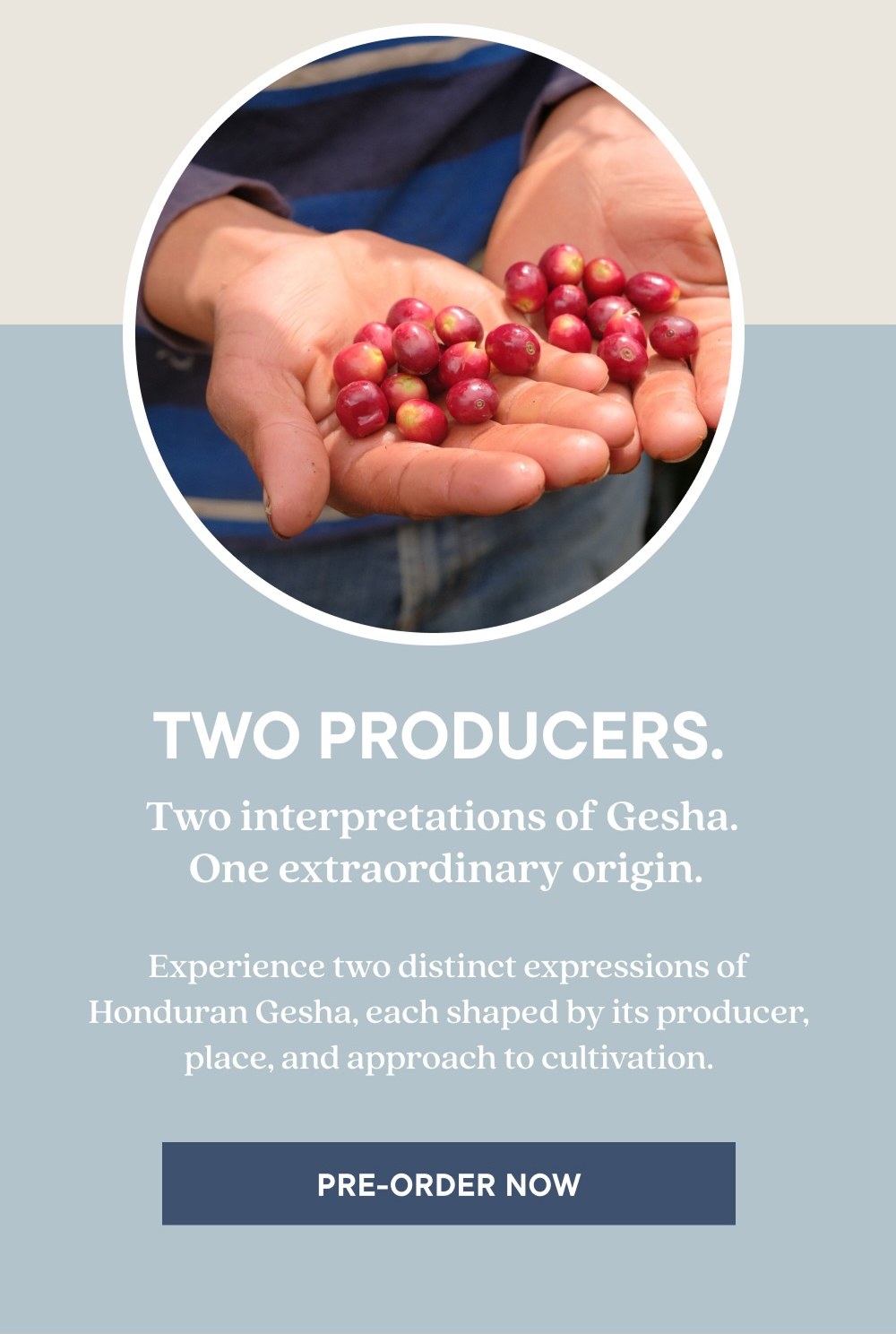 TWO PRODUCERS. | PRE-ORDER NOW