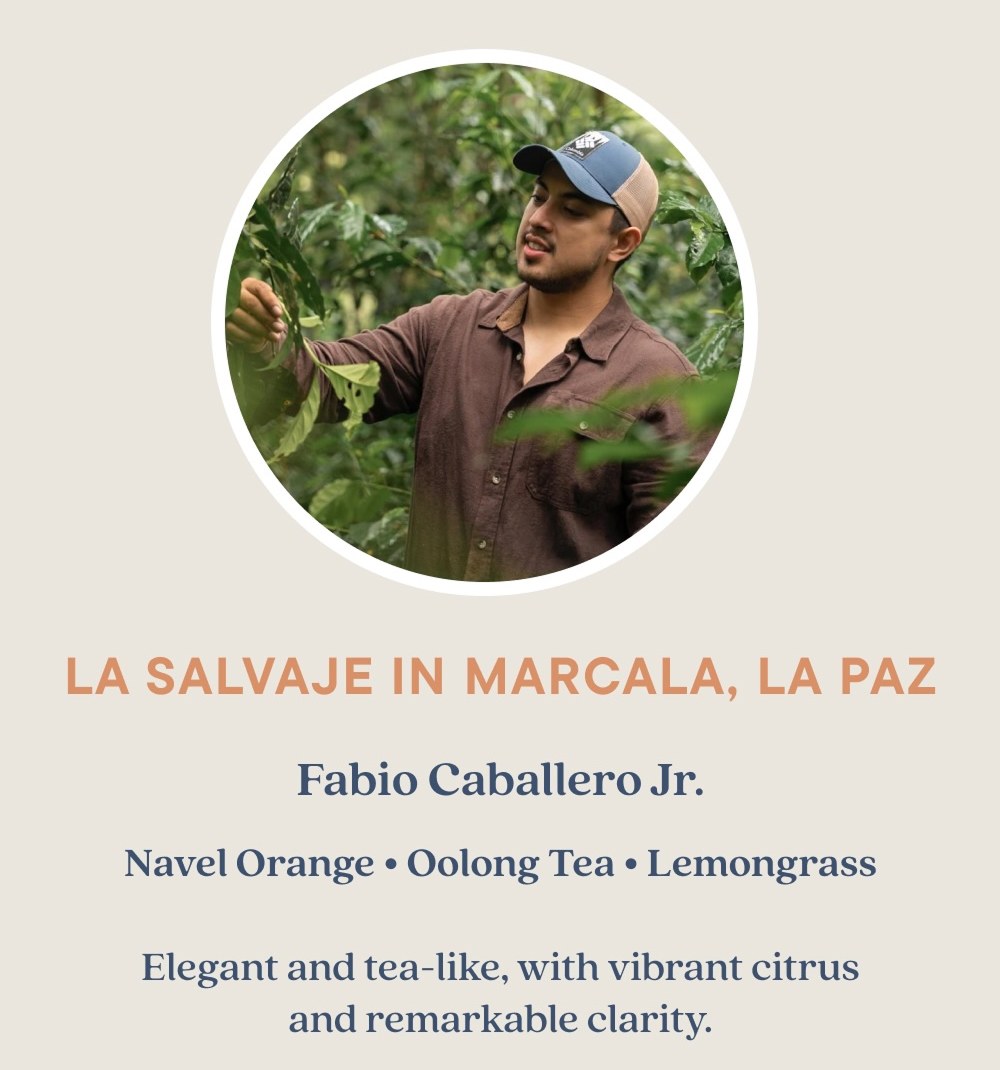 LA SALVAJE IN MARCALA, LA PAZ