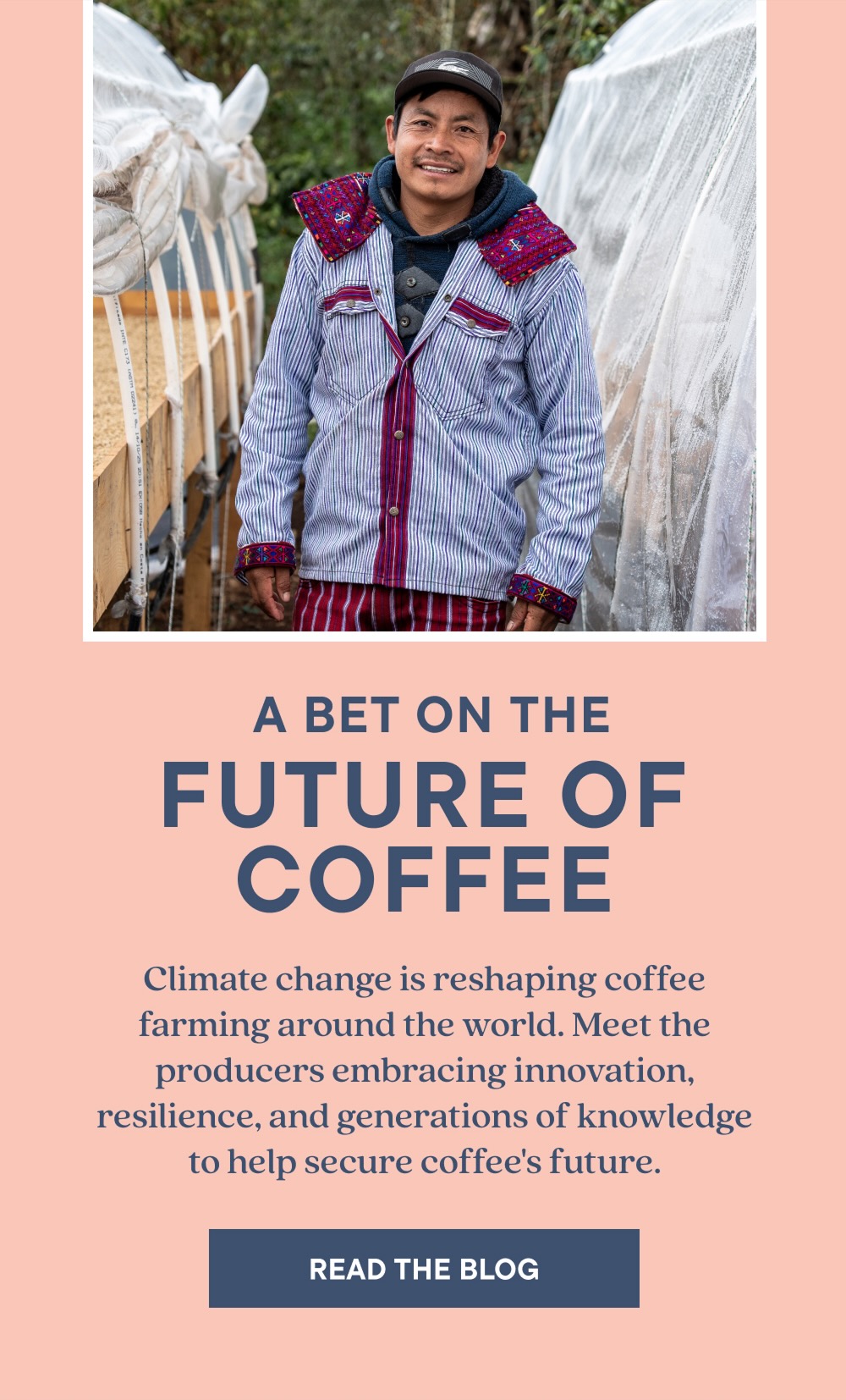A BET ON THE FUTURE OF COFFEE | READ THE BLOG