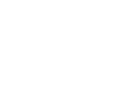 Wonderstate Coffee Logo with cicada