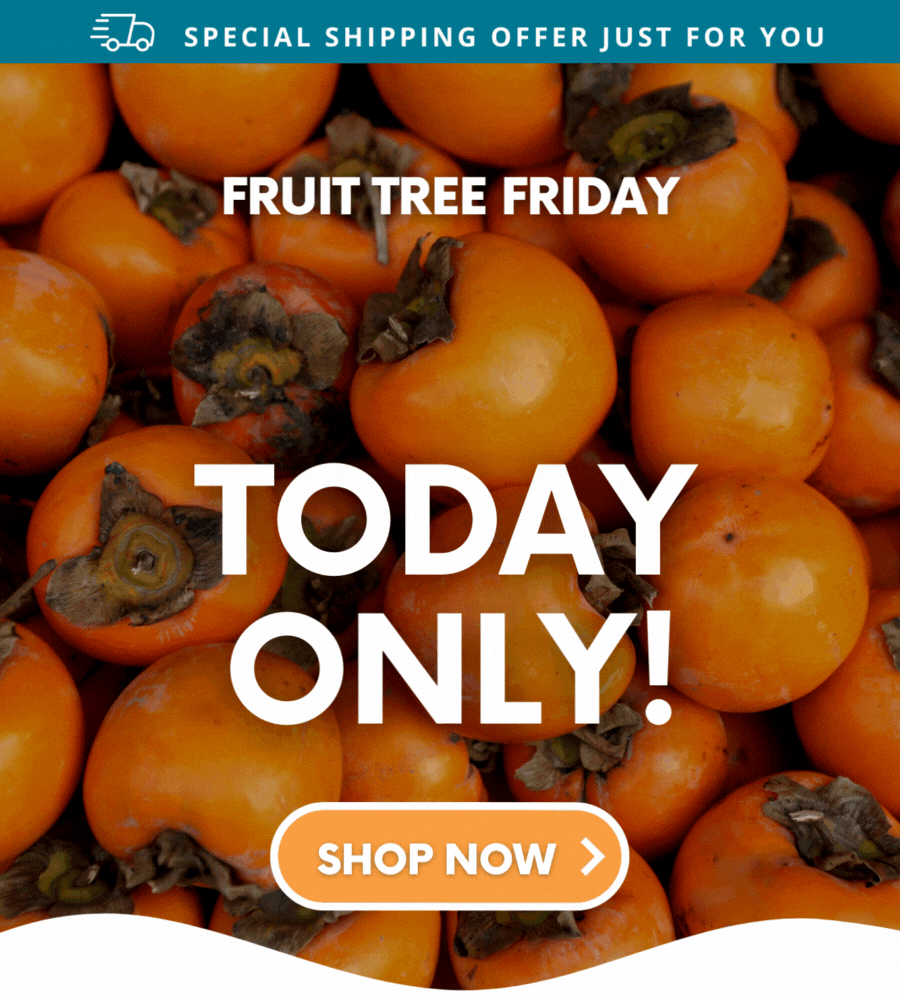 ⚡🌳 It's Fruit Tree Friday! Stark Bro's