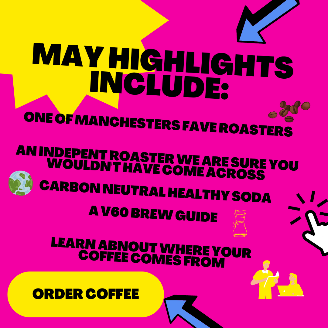 RiSE coffee box coffee subscription