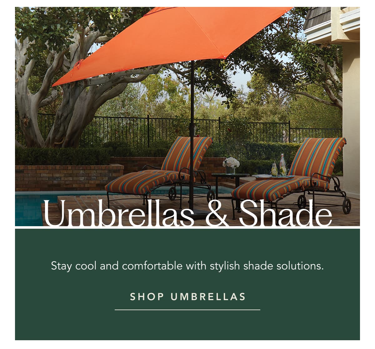 Shop Umbrellas