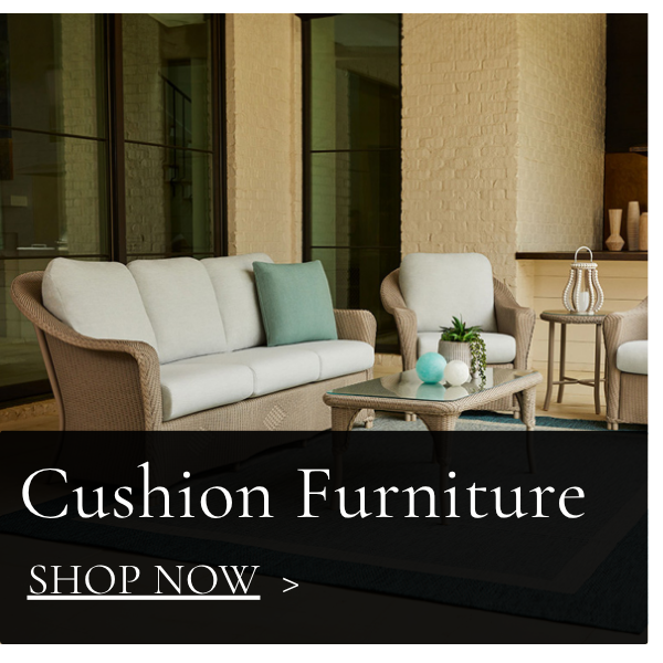 Cushion Furniture