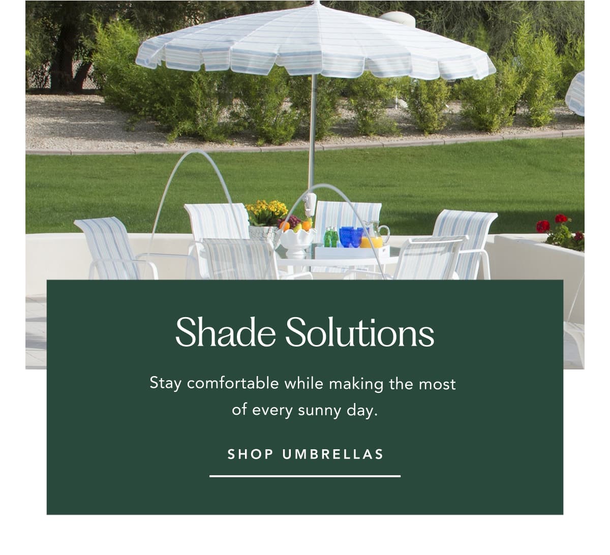 Shop Umbrellas