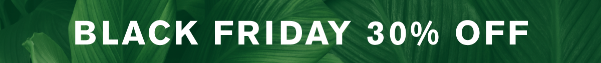 BLACK FRIDAY 30% OFF
