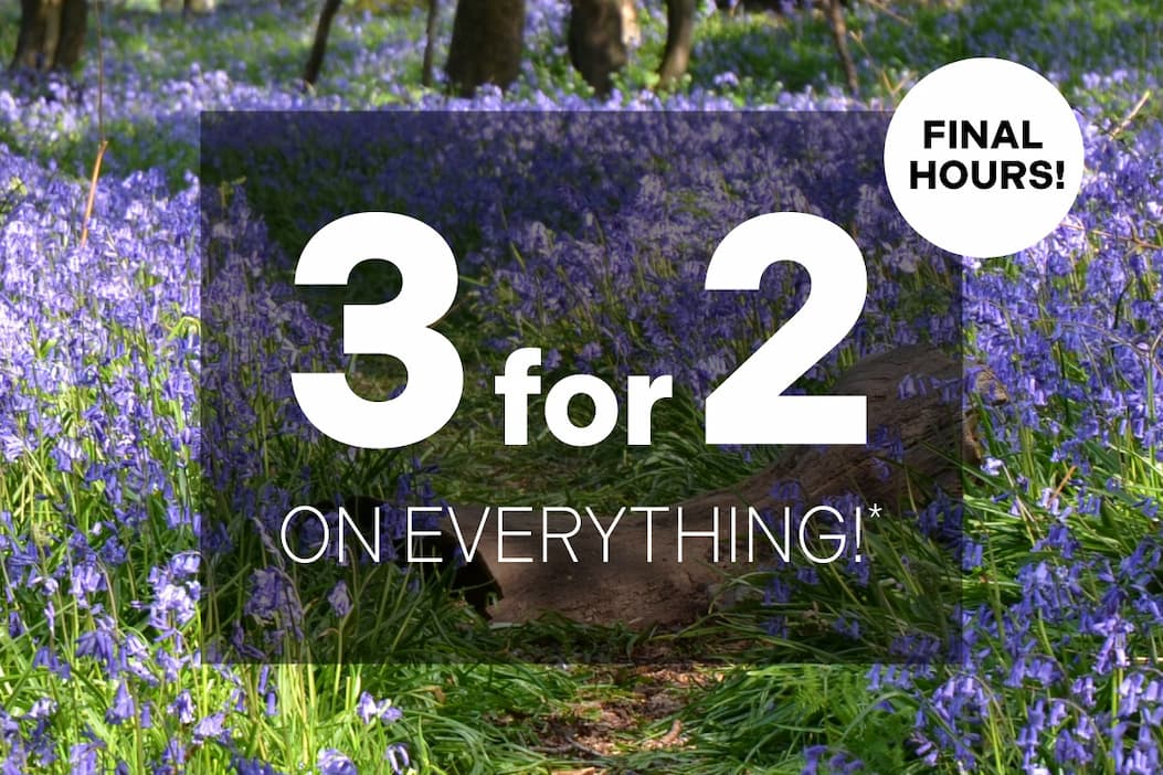 3 for 2 on everything*!