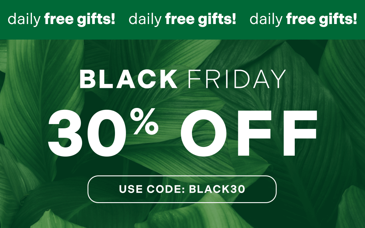 30% off & free gifts worth £36