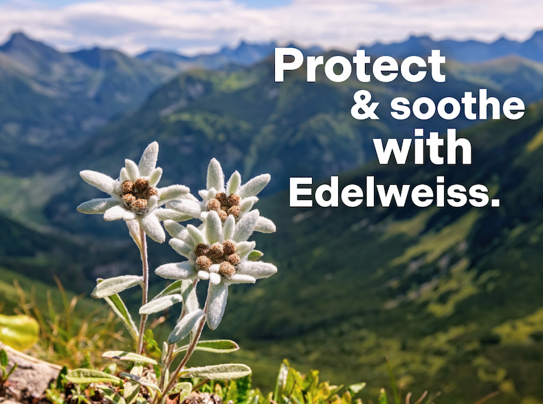 Protect and soothe with Edelweiss