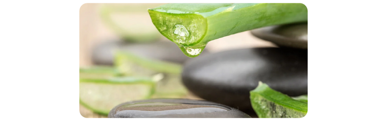 7 of the Best Natural Ingredients for Sensitive Skin