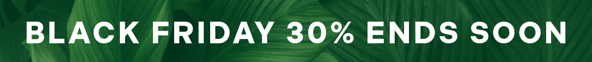 BLACK FRIDAY 30% OFF