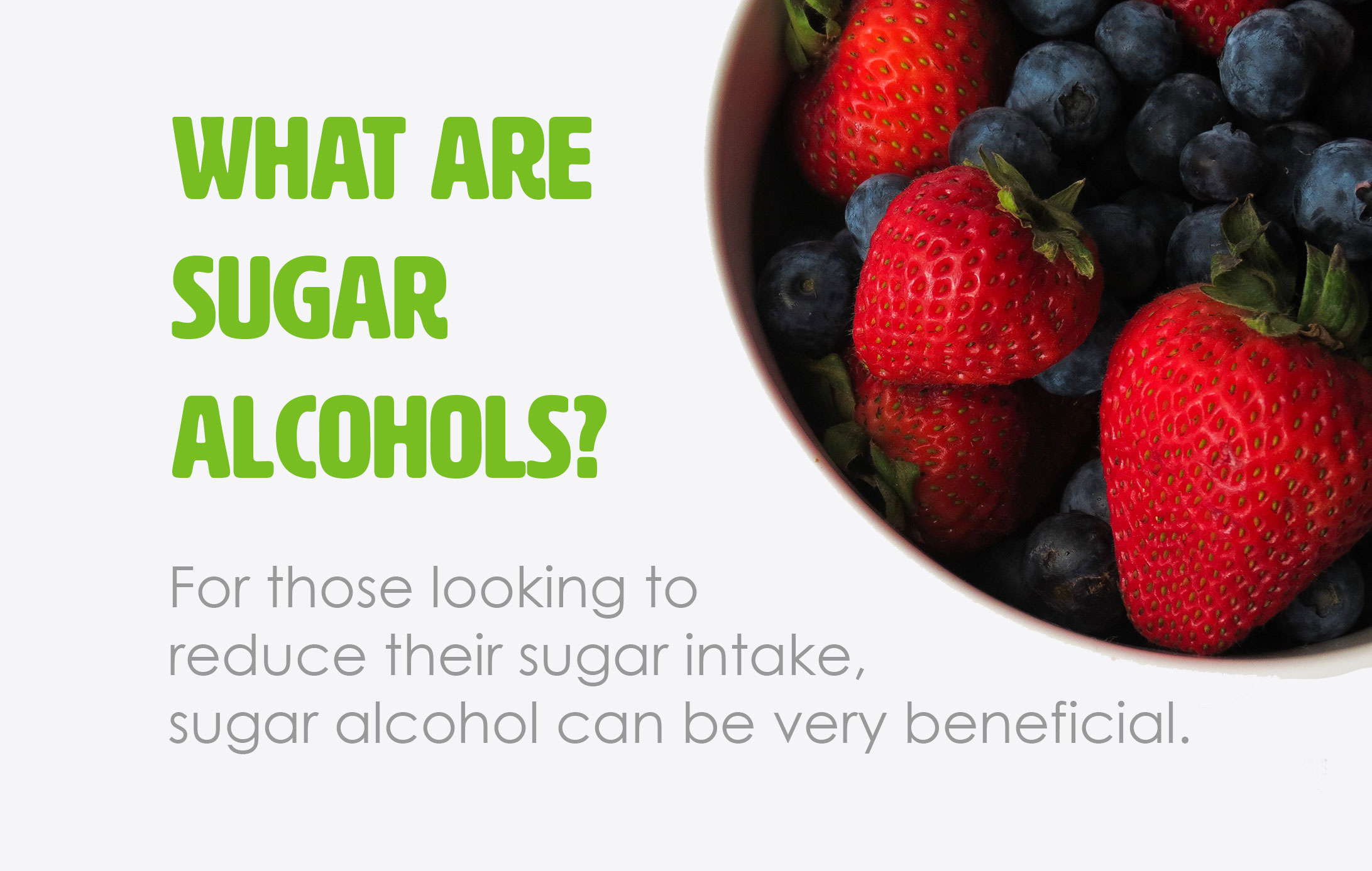 What are Sugar Alcohols? No Sugar Company