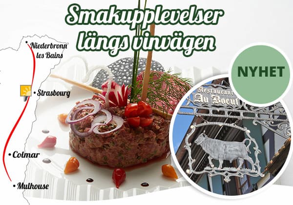 Semester längs vinrutten i Alsace