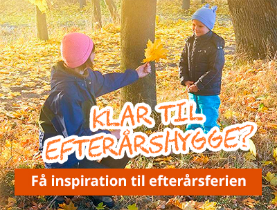 Få inspiration til efterårsferien 