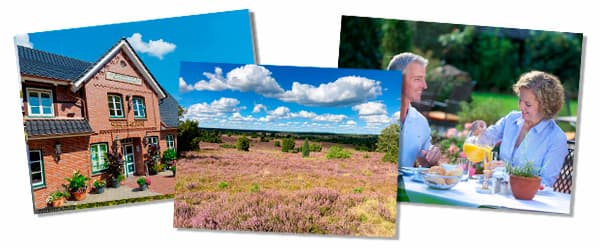 Sommarsemester på Lüneburger Heide i Niedersachsen, Nordtyskland