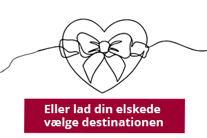 Bestil et rejsegavekort hos Happydays