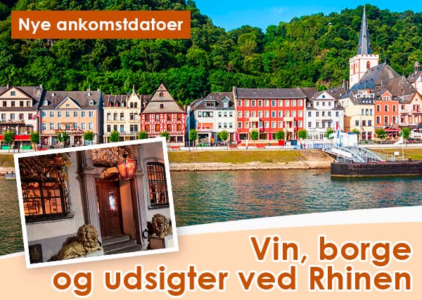 Vinferie ved Rhinen, Sydtyskland