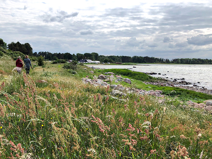 Hotel Strandparken i Holbæk