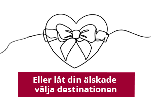 Beställ ett presentkort hos Happydays
