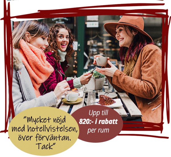 Medlemskampanj på Halmstad Plaza, Sverige