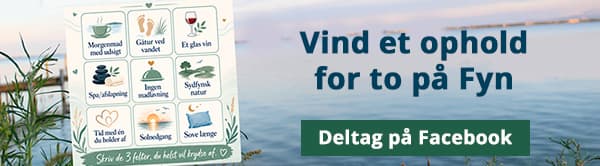Vind et ophold for to på Fyn