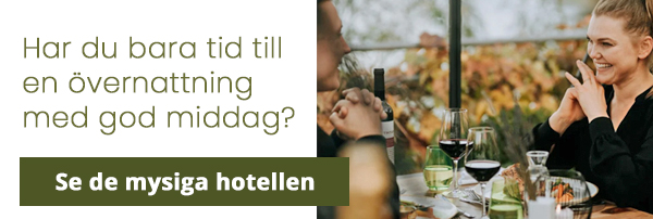 Hitta vistelser med en övernattning och middag