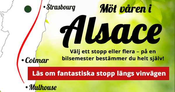 Läs om fantastiska stopp längs vinvägen i Alsace