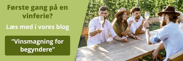 Læs blogindlægget Vinsmagning for begyndere