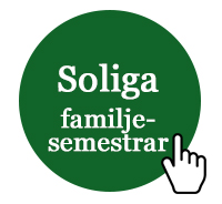 Soliga familjesemestrar
