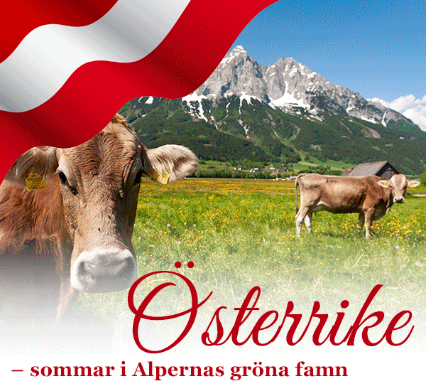 Happydays semestrar i Österrike