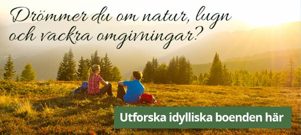 Se alla boenden med idylliskt läge